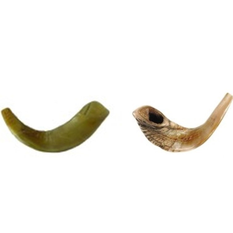 Ashkenazic Rams Horn ShofarIsrael 10" 24" AAA Quality Holy Land