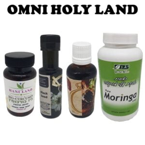 Omni Holy Land