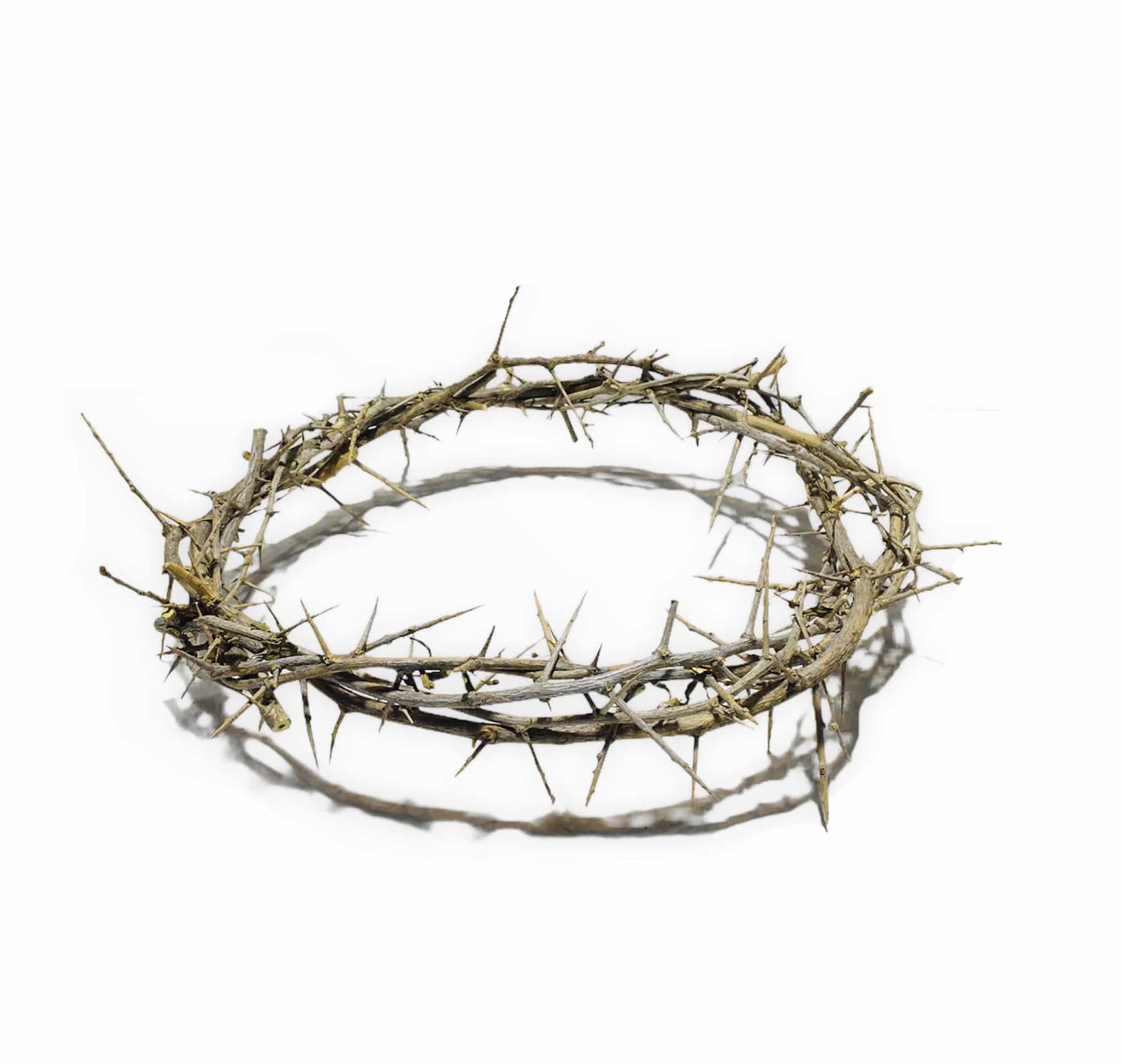 Holy Land Imports Passion of Christ Crown of Thorns/Authentic Crown of Thorns... 